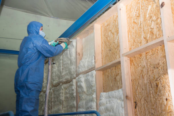 Best Home Insulation Services  in Coldwater, OH